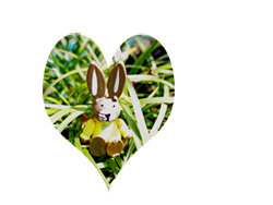 osterhase2012.jpg